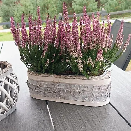 Trzy Swierki - Twoje Miejsce Na Kaszubach