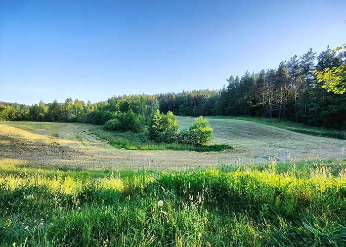 Semesterbostad Trzy Swierki - Twoje Miejsce Na Kaszubach Ciemno